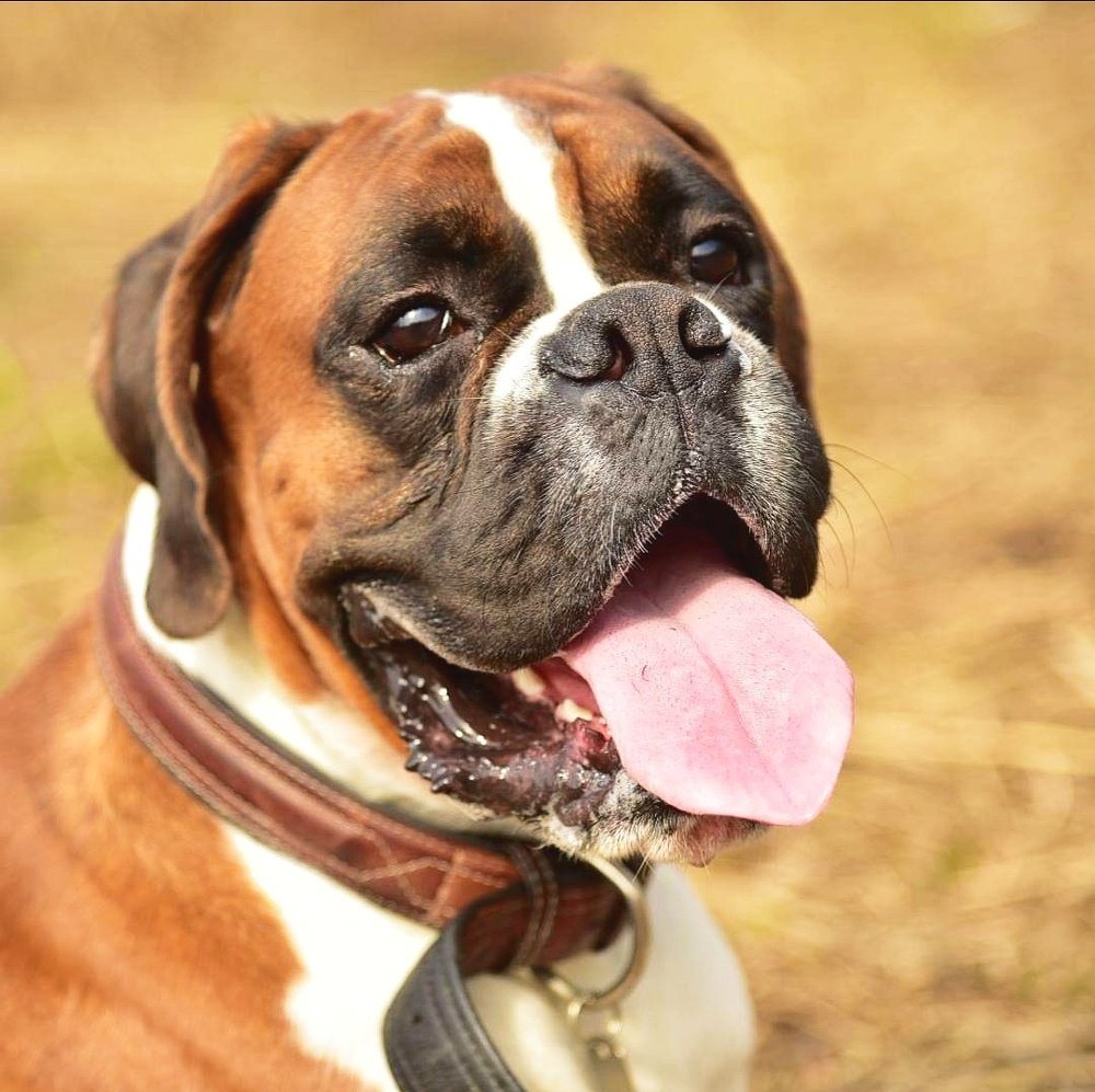 Photograph by Ольга Смагаринская