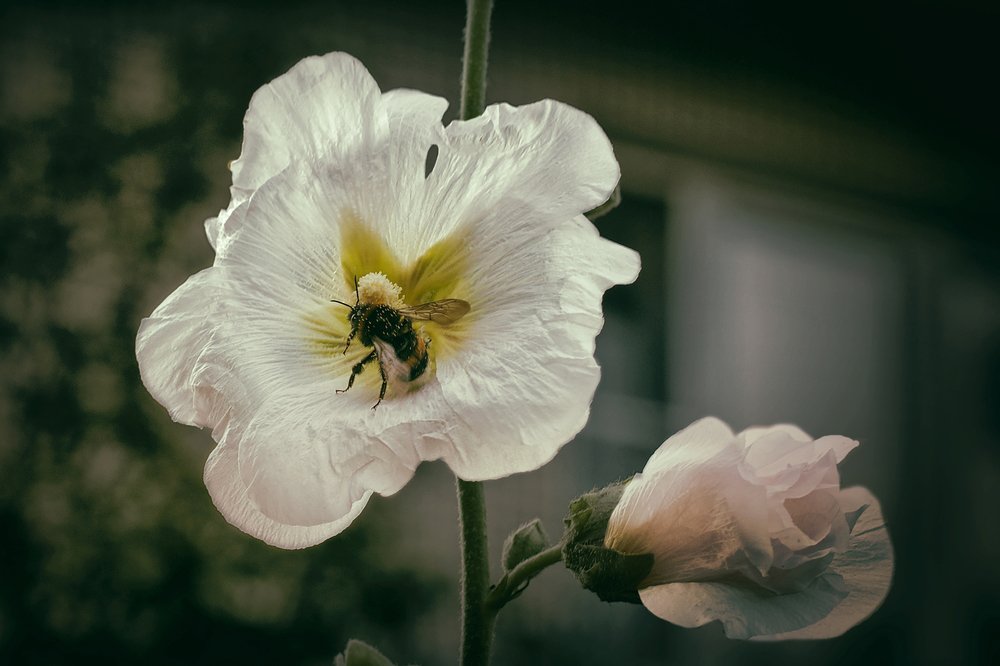 Photograph by Екатерина Рябинина