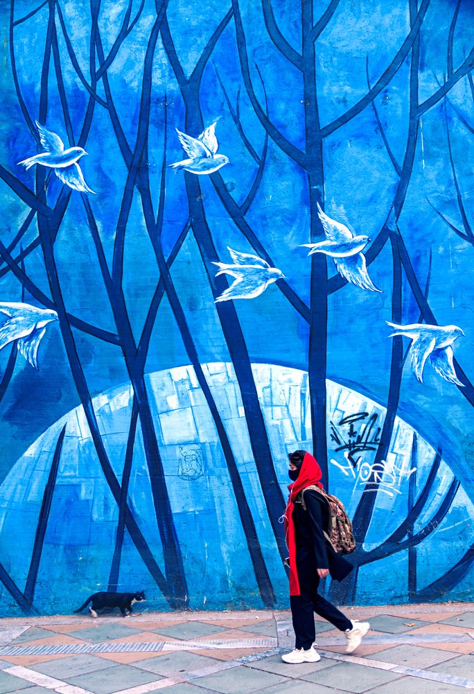 Cat with red scarf girl