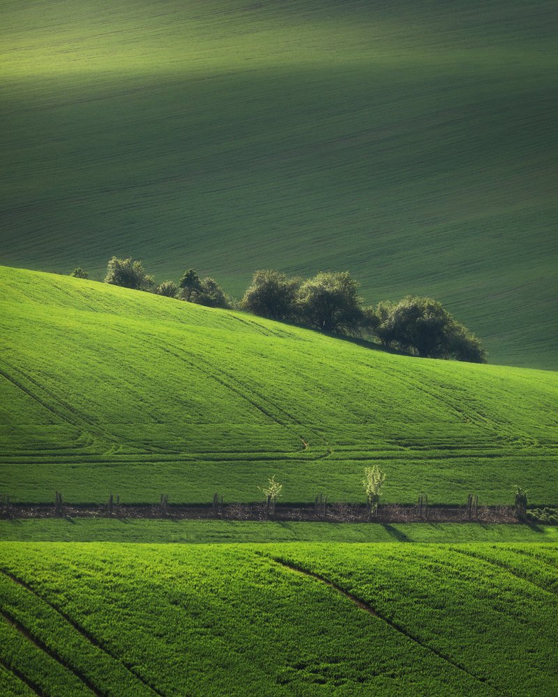 Фотография автора Oleg Rest