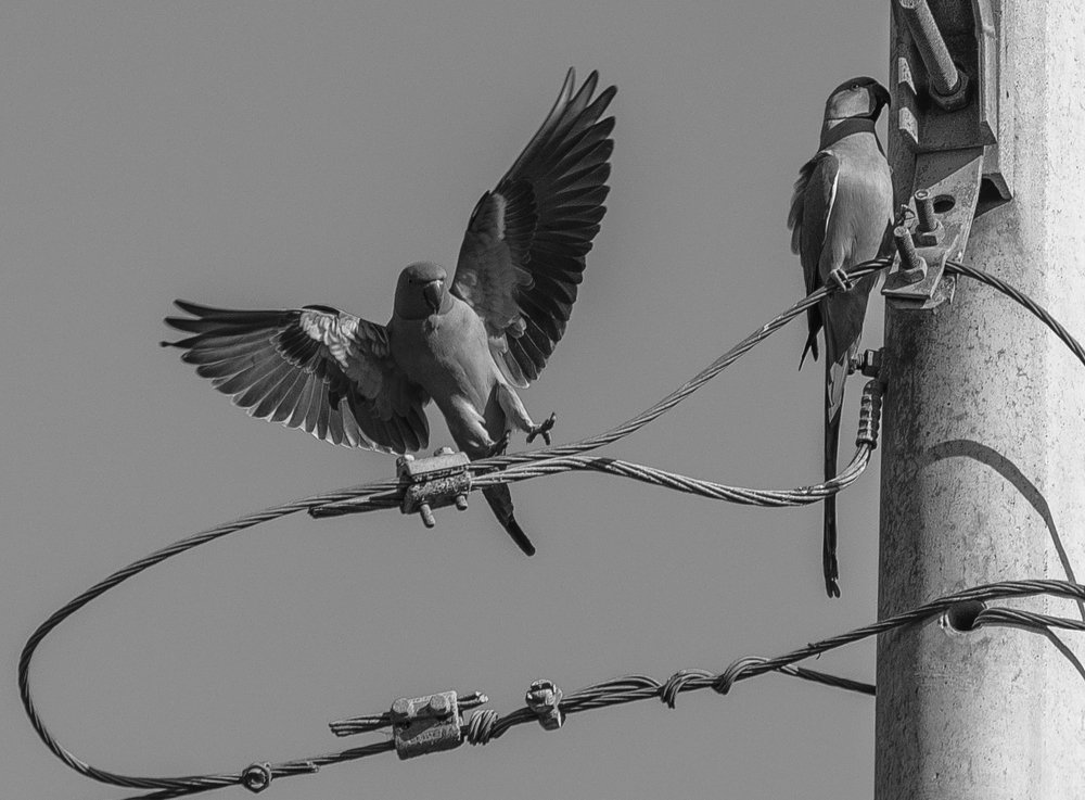 Photograph by Igor Tourovski