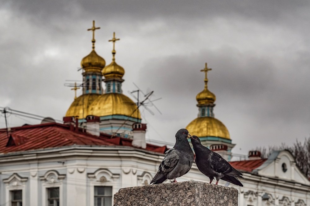 Да любите друг друга!