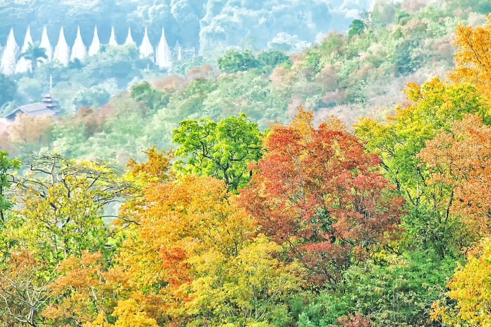 Фотография автора Pyii Zone Aung