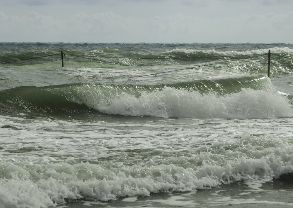 Photograph by Ангелина Журавлева