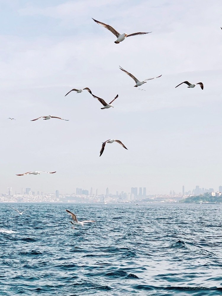 Photograph by Dmitry Skvortsov