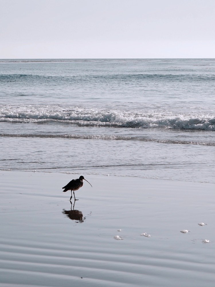 Photograph by Dmitry Skvortsov