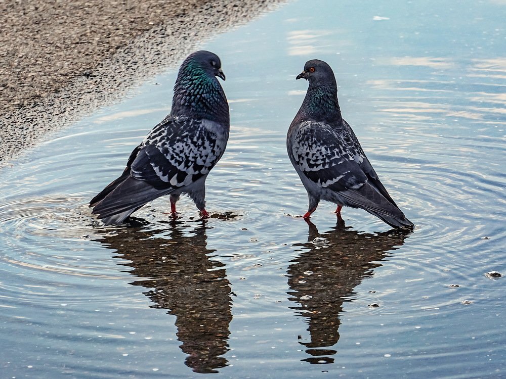 Серьезный разговор