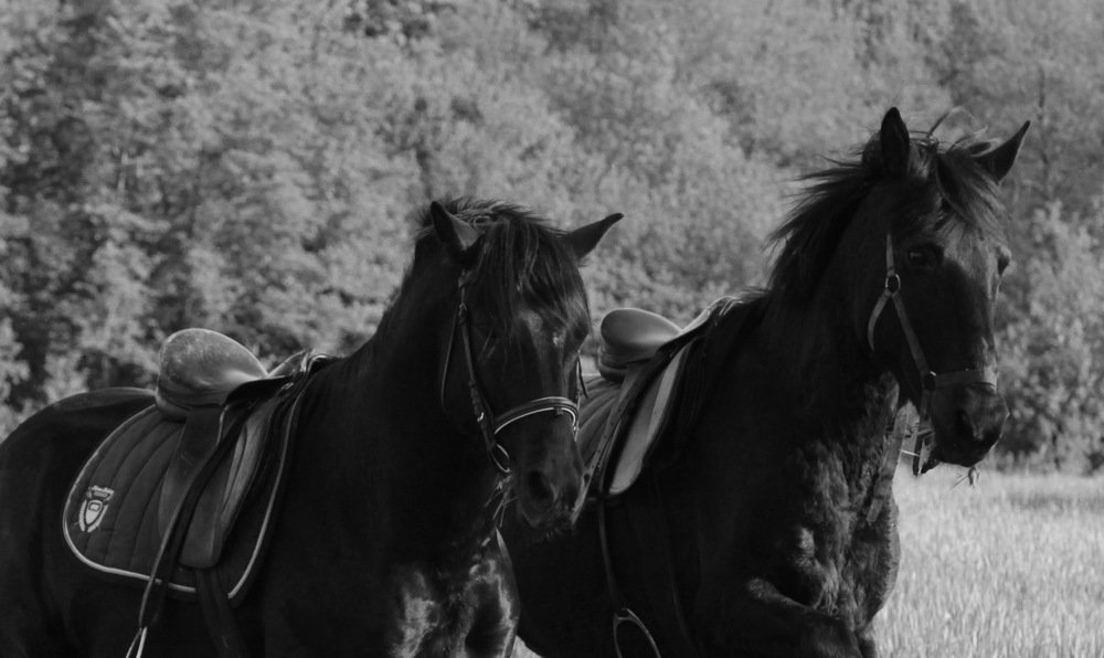 Photograph by Ангелина Журавлева