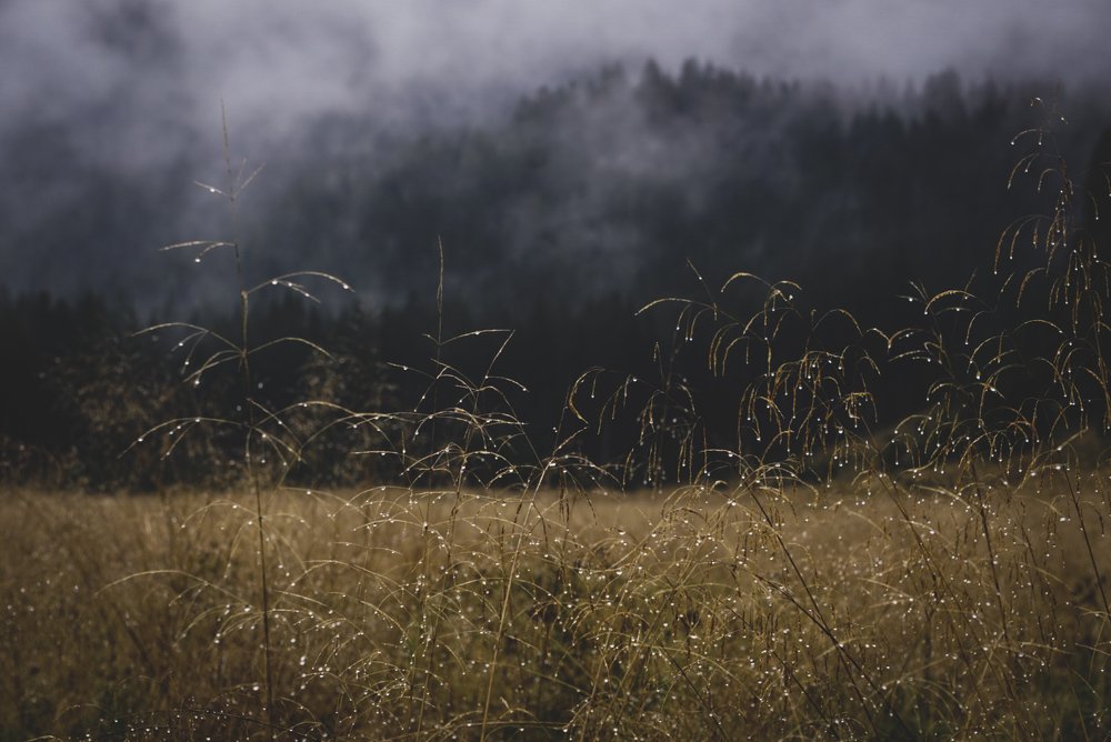 Photograph by Elisa