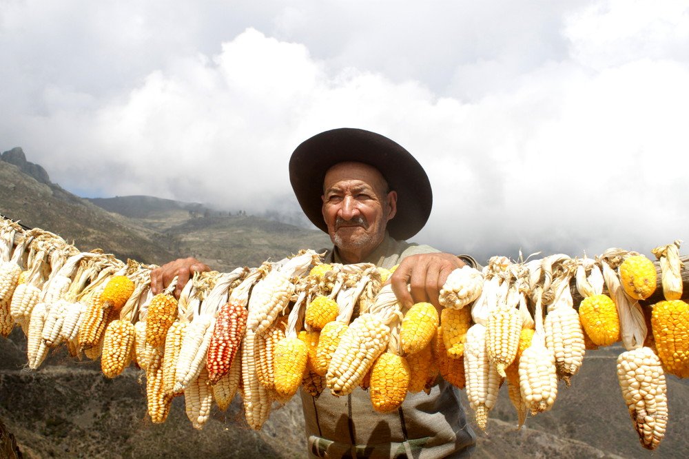 Photograph by Lizandro Ardiles Huaranga