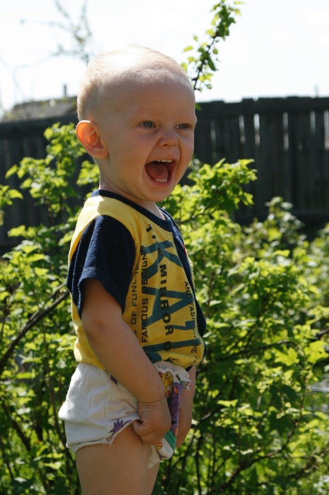 Photograph by Светлана Олина