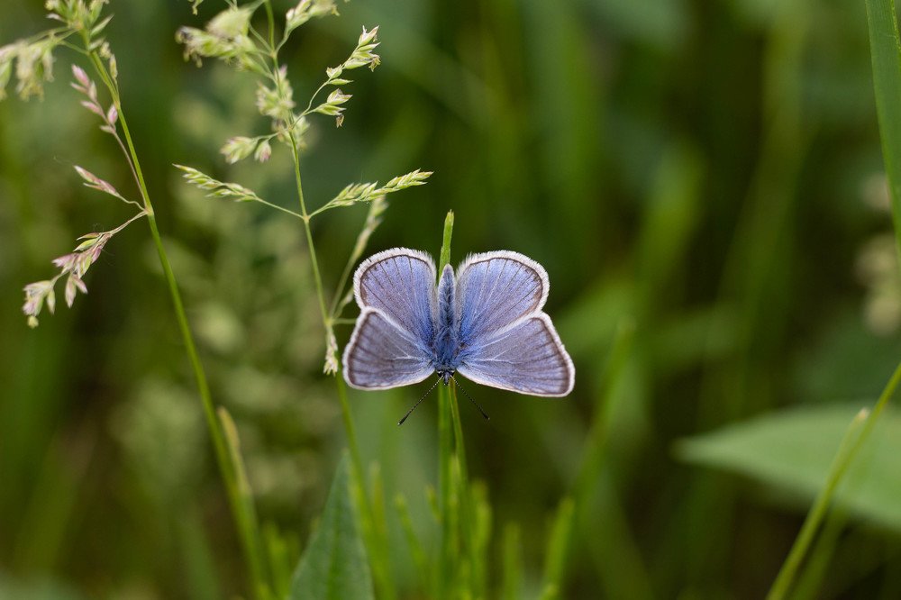 Photograph by Оксана Корчагина