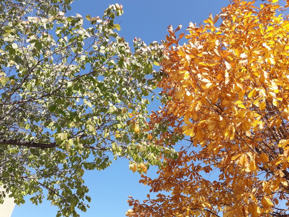 Photograph by  Людмила