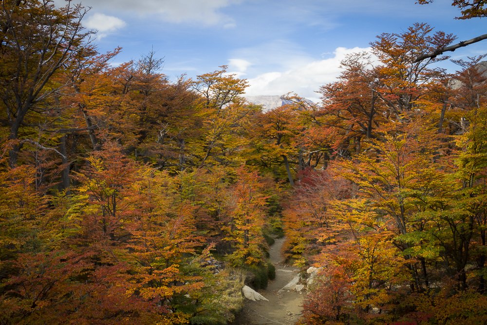Photograph by Rodrigo Fredes