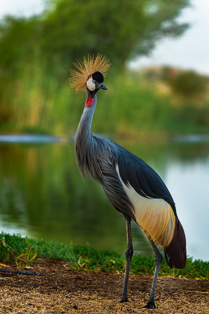 Photograph by Zubair Irshad