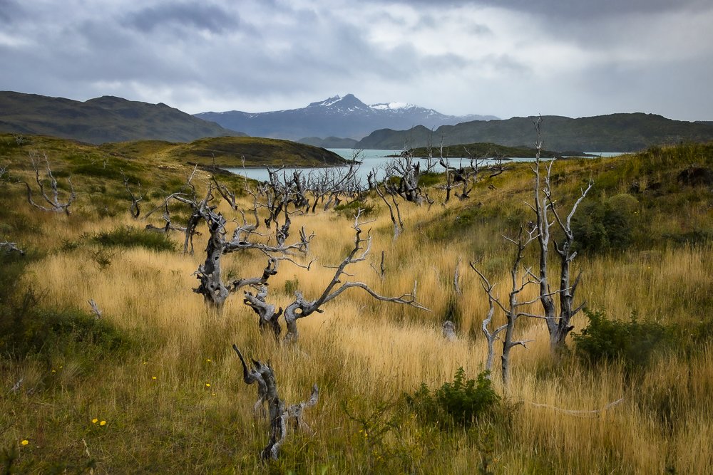 Photograph by Rodrigo Fredes