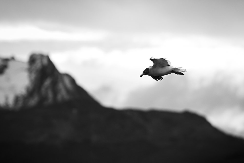 Photograph by Rodrigo Fredes