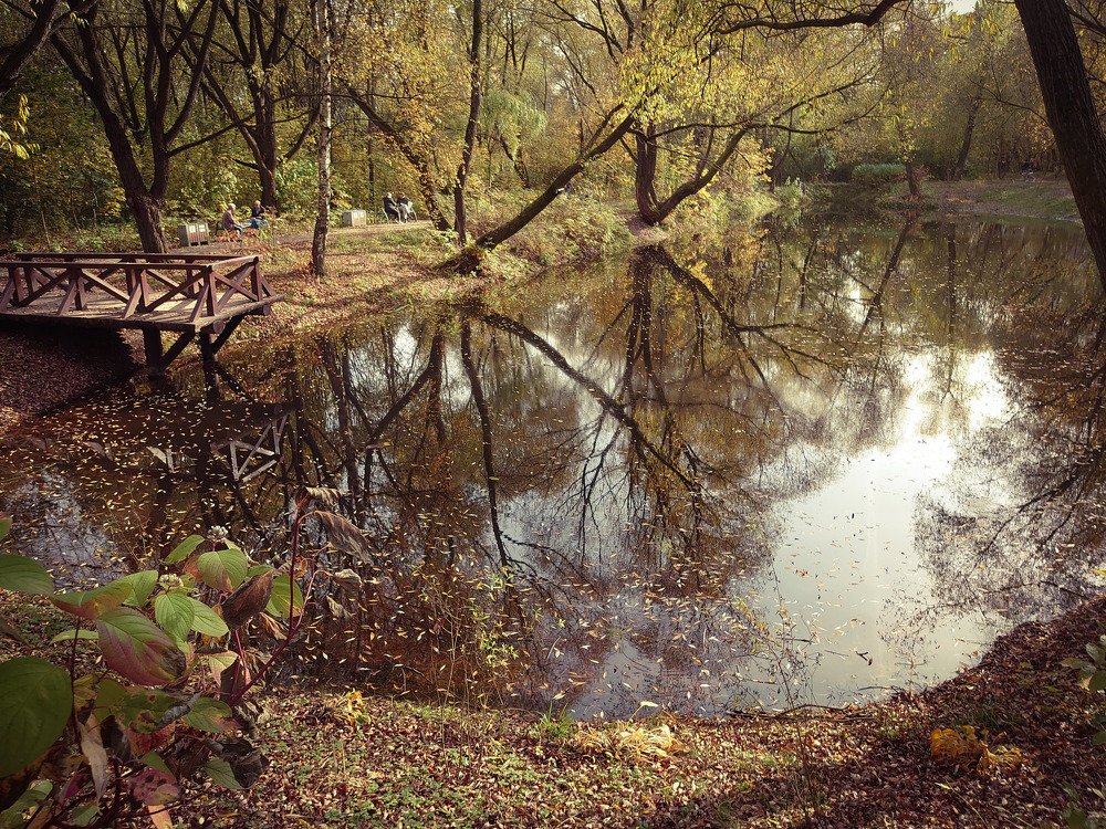 Черный пруд