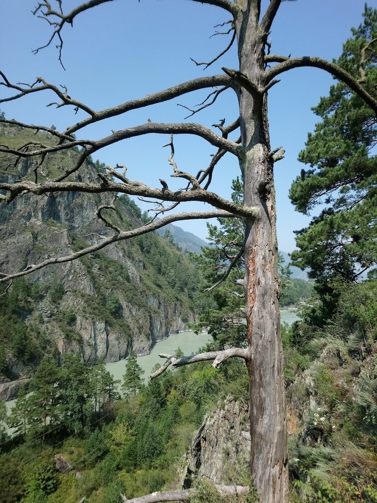 Photograph by Людмила Воропаева