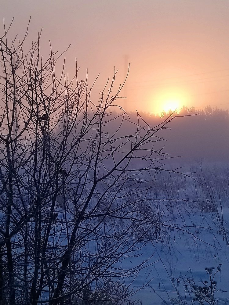 Photograph by Людмила Воропаева