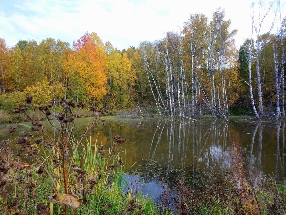 Photograph by Людмила Воропаева