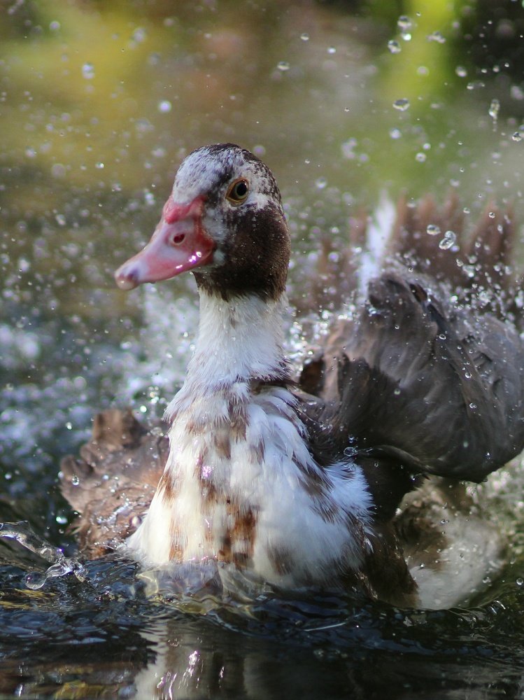 Photograph by Светлана Богомолова