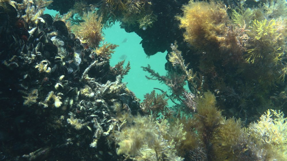 Photograph by Владимир Ясюкевич