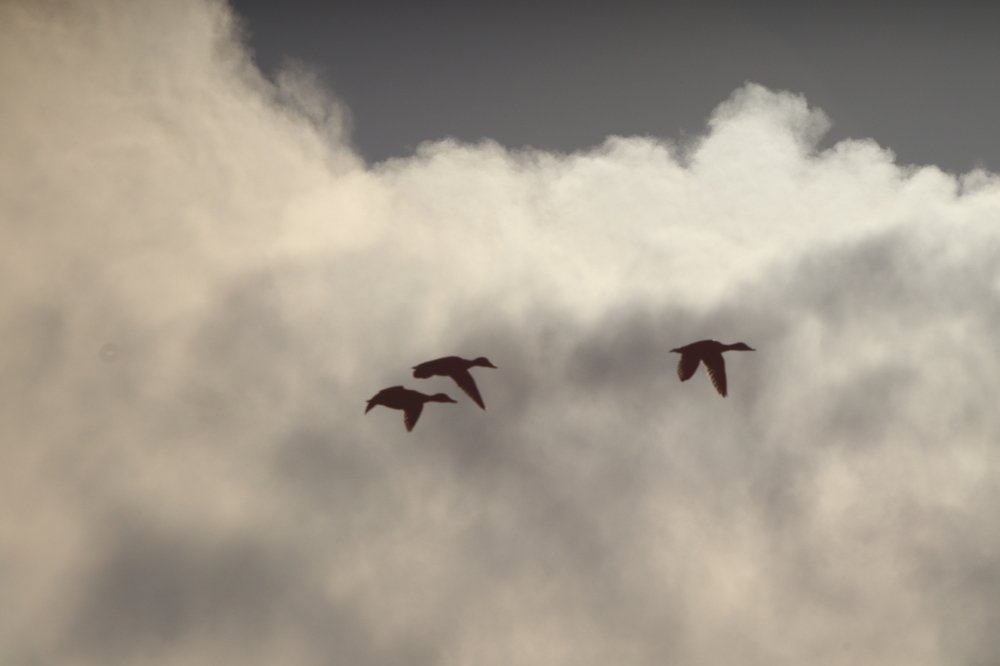 Фотография автора Веста Ягужинская