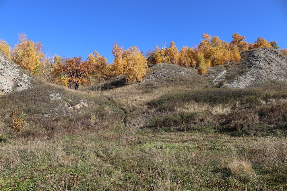 Фотография автора Веста Ягужинская