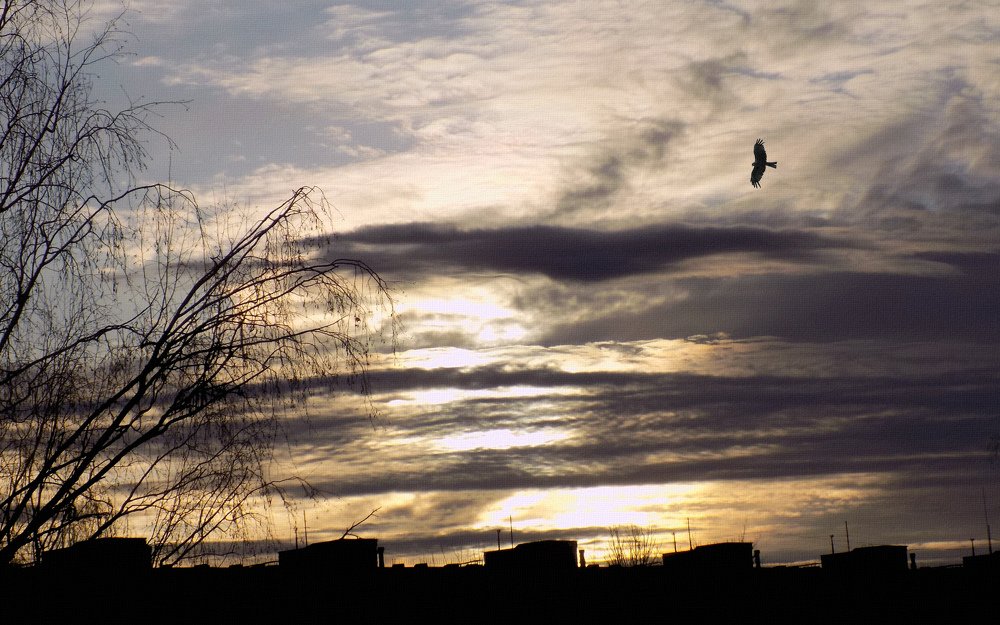 Photograph by Сергей Рудаков