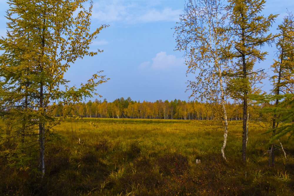 Осенний день.
