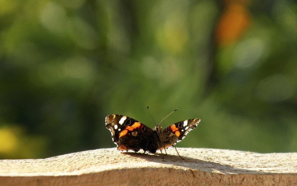 Photograph by Сергей Рудаков