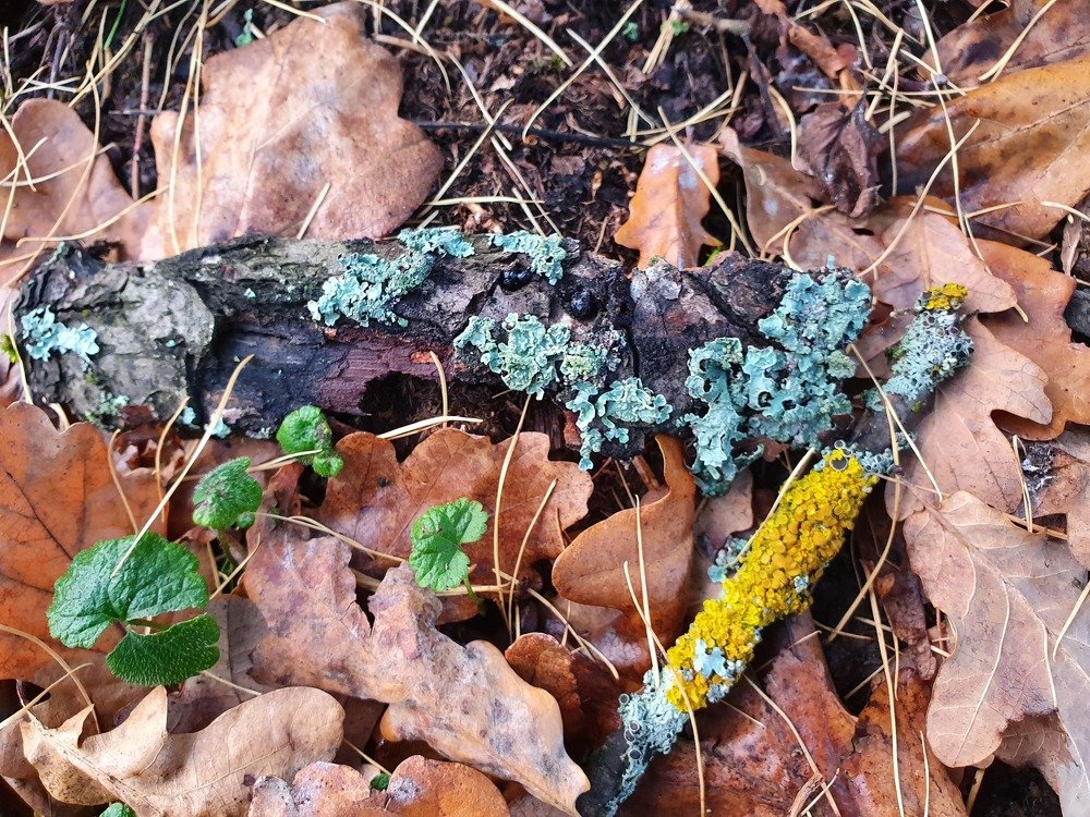 Photograph by Елена Харитонова