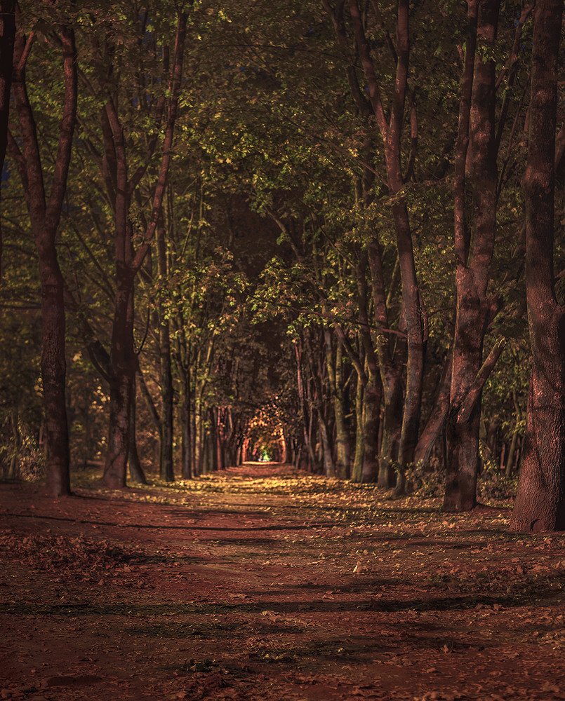 Photograph by Валерий Вторыгин