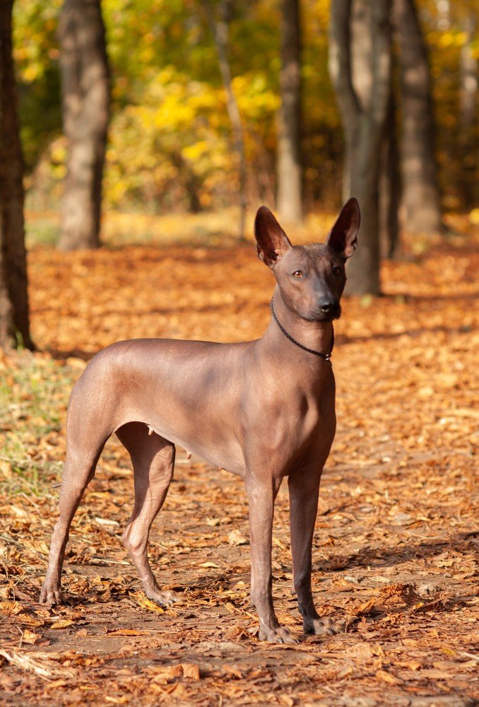 Photograph by Антонина Копытина