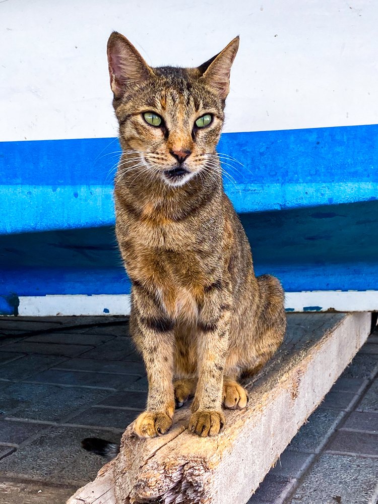 Photograph by Dhananjay Jadhav