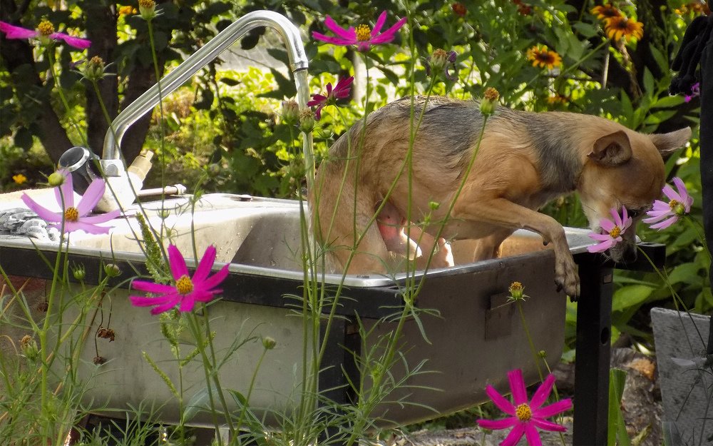 Photograph by Сергей Рудаков