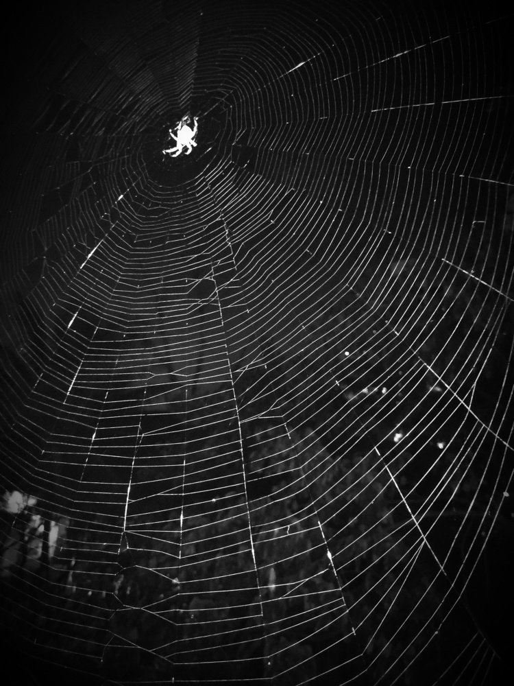 Photograph by SUMANT TRINAGARE