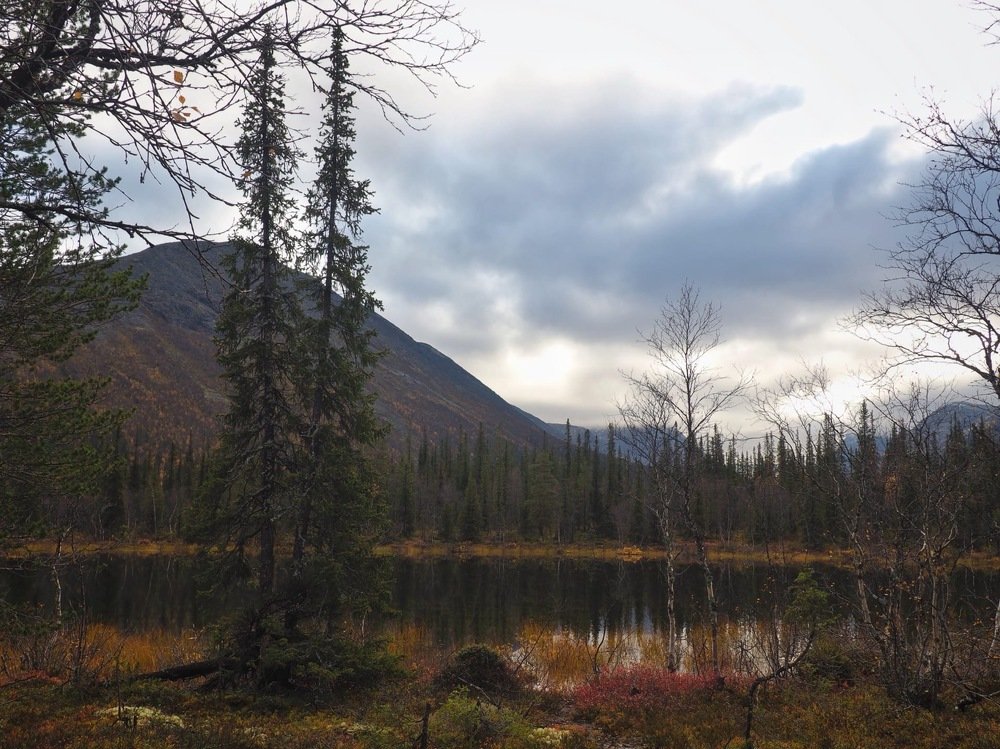 Photograph by Зайцева Катерина