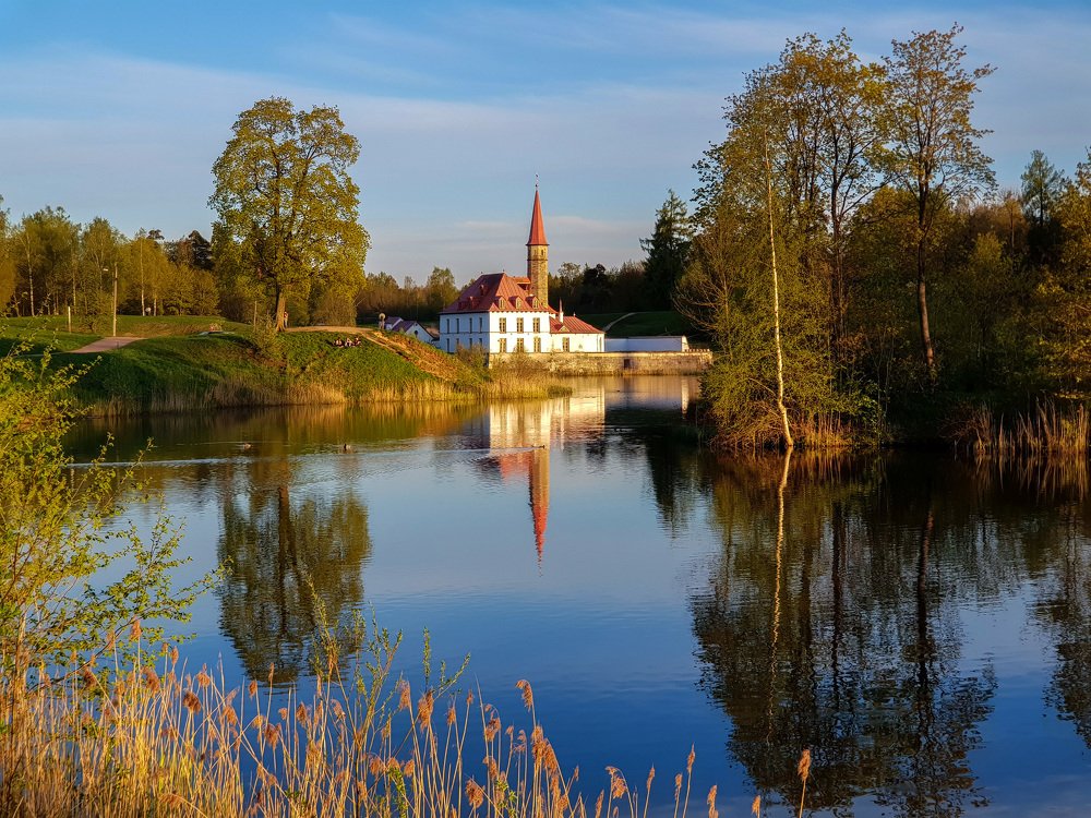 Летний вечер на Черном озере