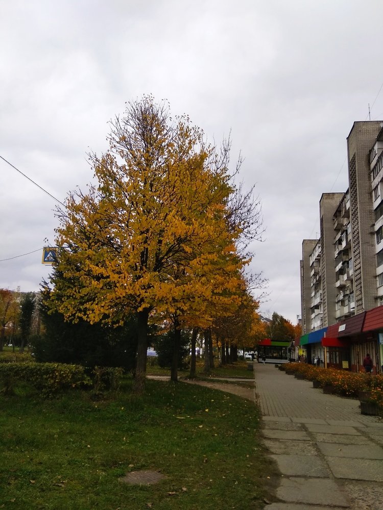 Photograph by Руслан