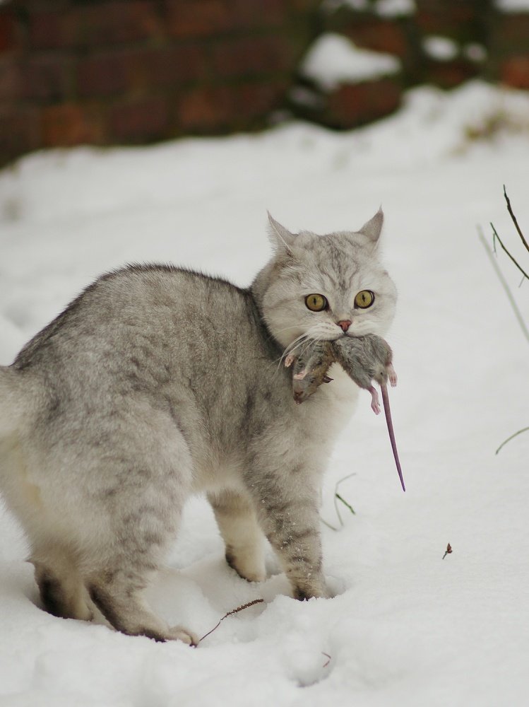 Photograph by Светлана Богомолова