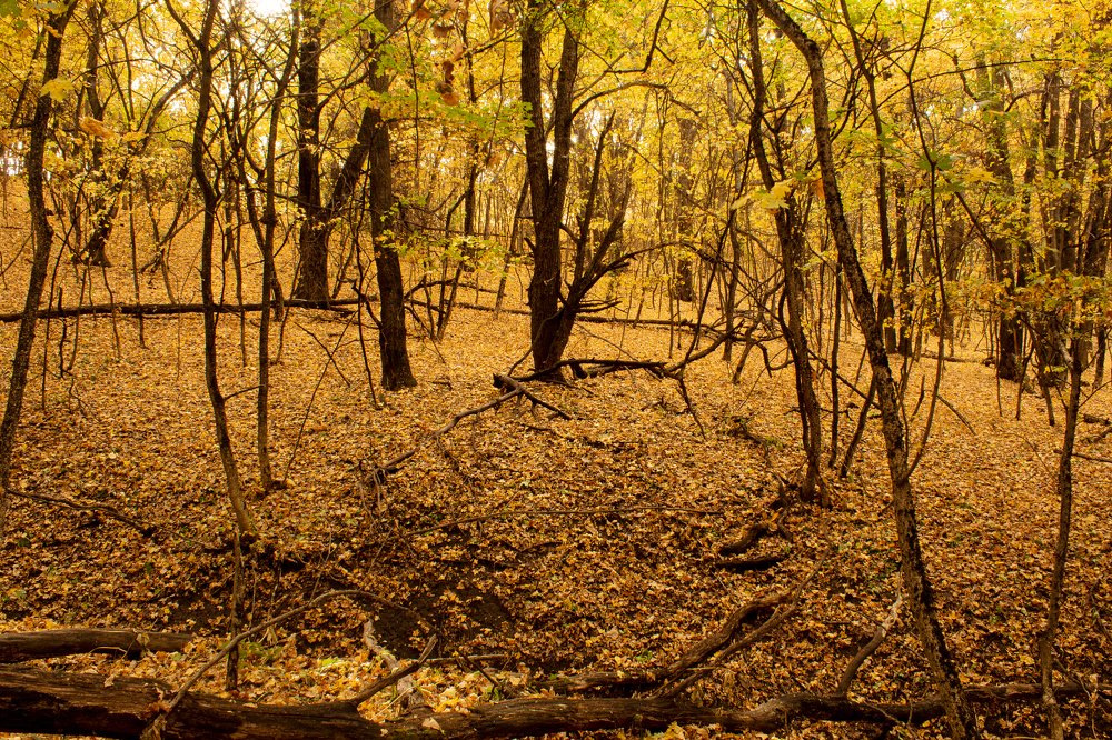 Photograph by Юлия Черкасова