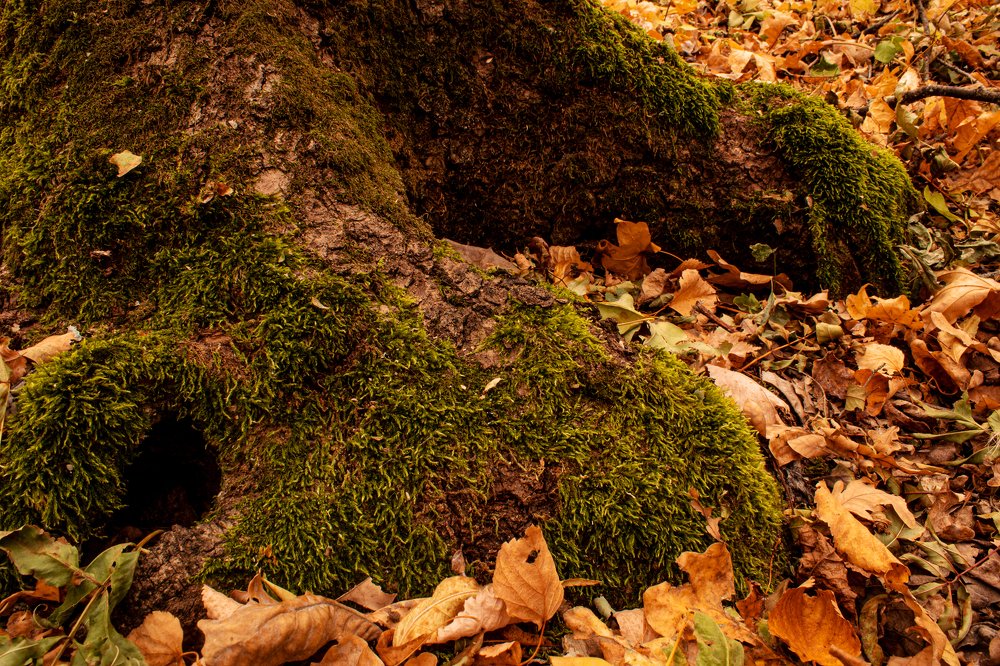 Photograph by Юлия Черкасова