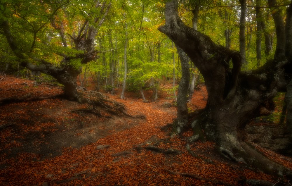 Photograph by Alexander Plekhanov