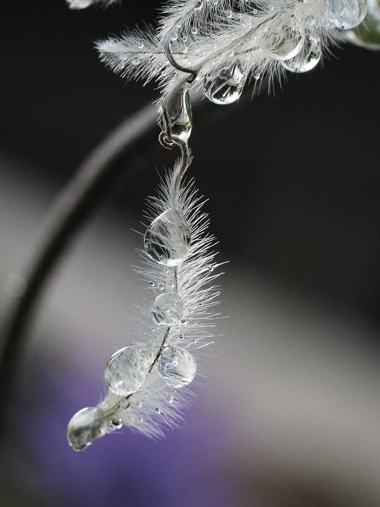 Photograph by Светлана Богомолова