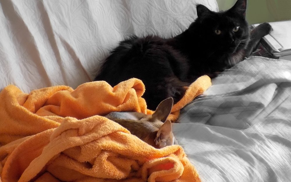 Photograph by Сергей Рудаков