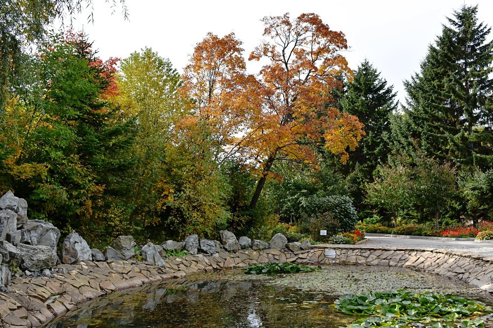 Photograph by Светлана Титова