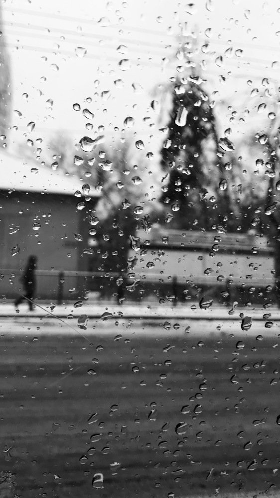 Photograph by Индира Кузнецова