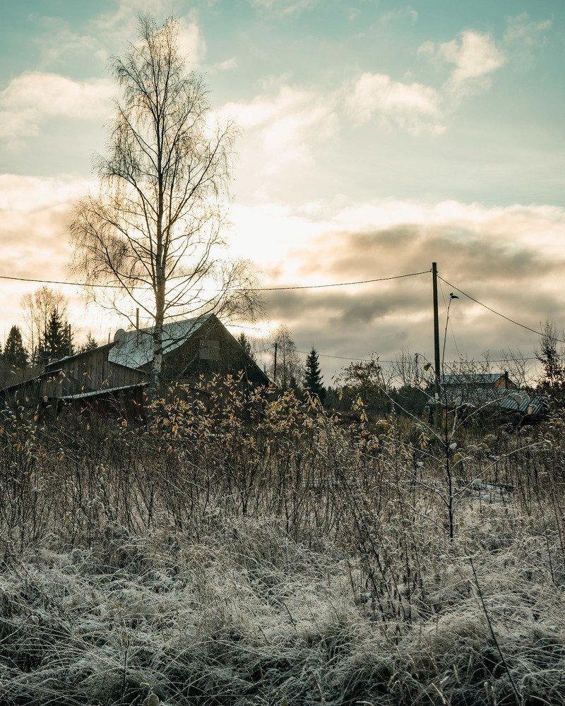 Холодное утро.